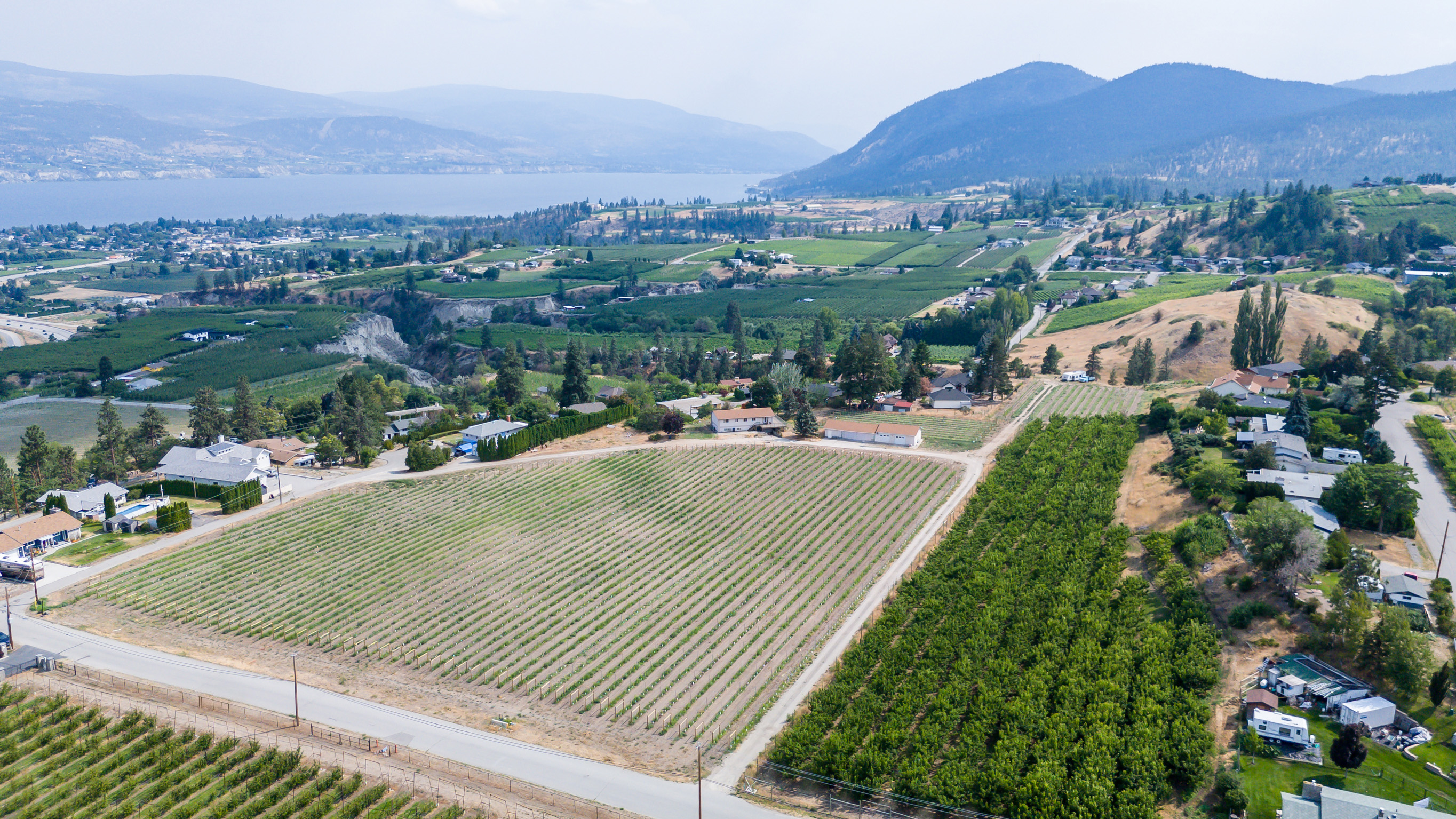 Peachland lakeside homes